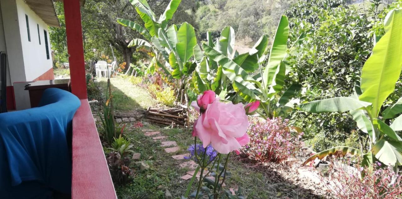 Finca Umnisa - Choachi Choachí Exterior foto